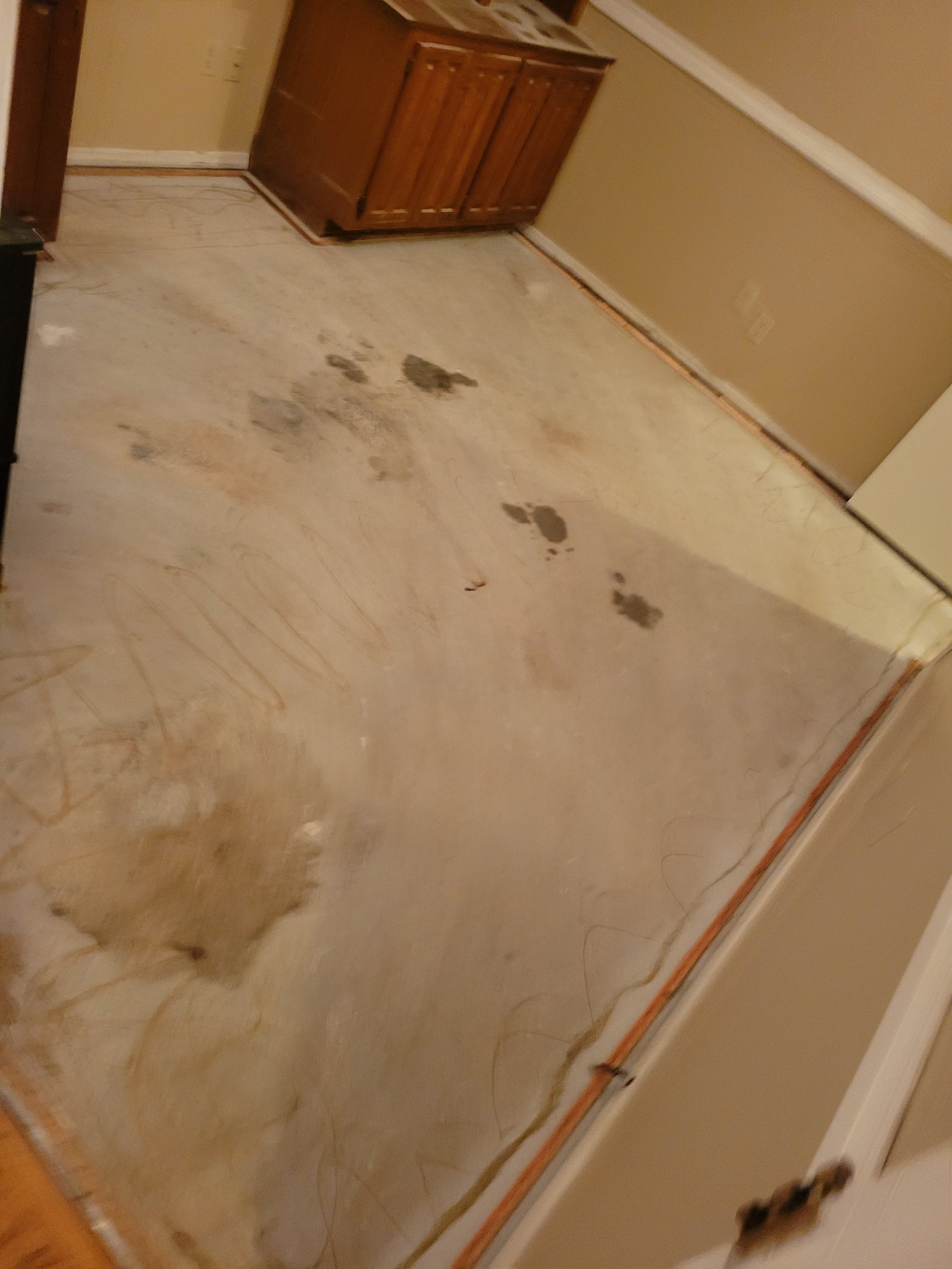 Interior painting project gallery - Project 139 - Image 1